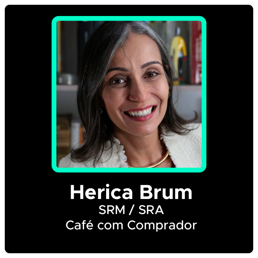 Mentor_Herica Brum v2